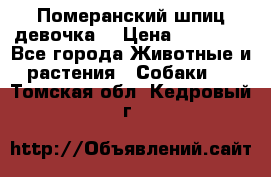 Померанский шпиц девочка  › Цена ­ 50 000 - Все города Животные и растения » Собаки   . Томская обл.,Кедровый г.